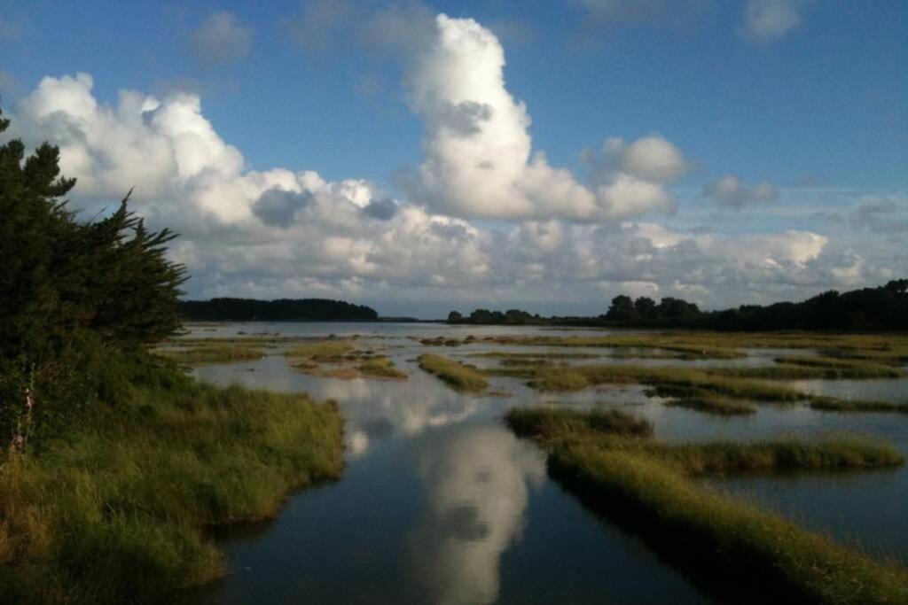 Maison Avec Jardin Clos. Animaux Acceptes - Wifi - Proche Plages De La Trinite Sur Mer Et Carnac La Trinité-sur-Mer Exterior foto
